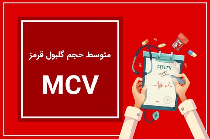 MCV در برگه آزمایش خون به چه معناست؟