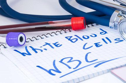 مفهوم WBC در آزمایش خون