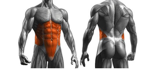 نرمش های تقویت عضلات Core/ حرکات اصلاحی/طب کار پرانا